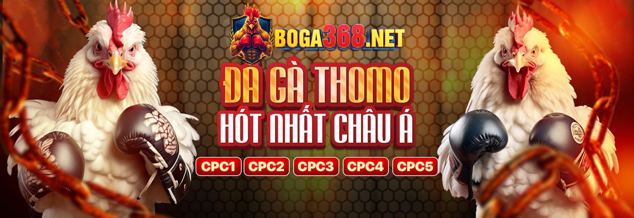Đá gà trực tuyến EE88 – Sân chơi đỉnh cao cho người đam mê