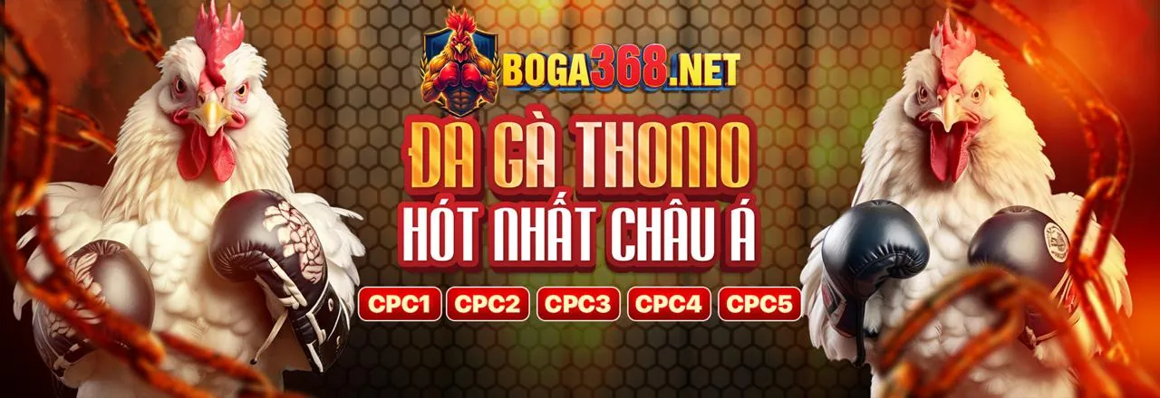 Đá gà trực tuyến EE88 – Sân chơi đỉnh cao cho người đam mê