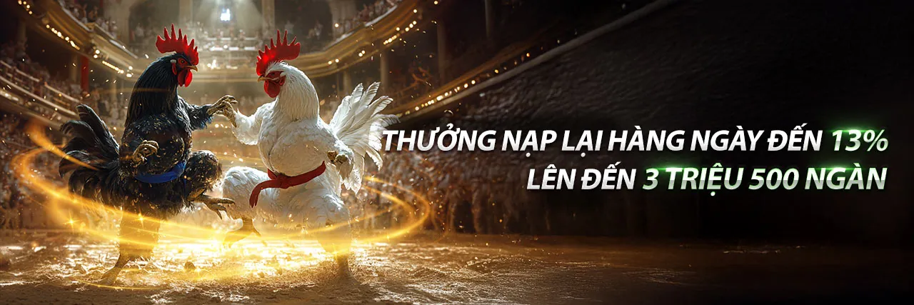 Hình ảnh đá gà trực tuyến tại ee88