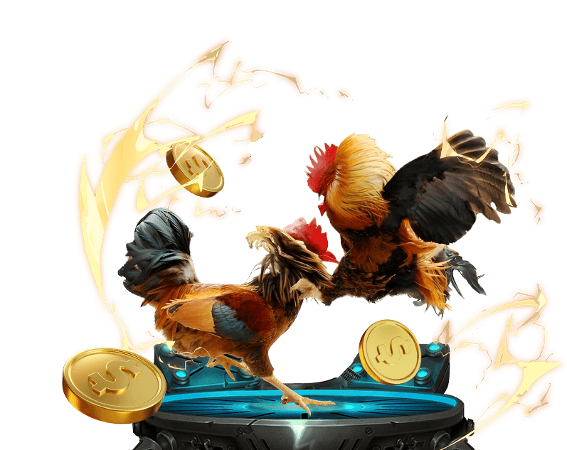 Phát sóng trực tiếp đá gà chất lượng cao