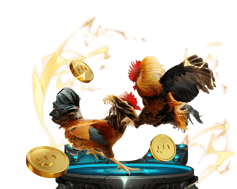 Phát sóng trực tiếp đá gà chất lượng cao